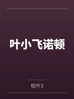 叶小飞诺顿